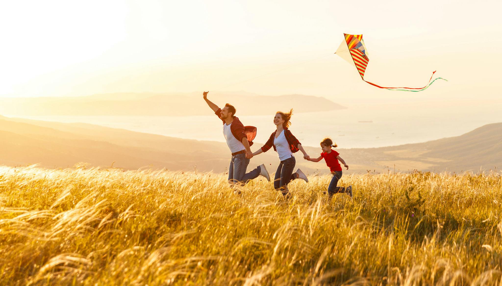 Family flying a kite in a field